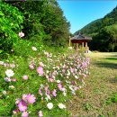 (주)태백사료 이미지