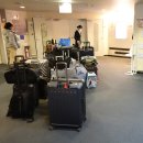 카멜리아 이미지