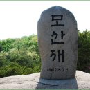 아름답고푸른화원