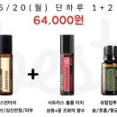 델라도테라 이미지