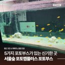 [성수/서울숲] 데이트 코스 추천 사진 맛집 서울숲 포토랩플러스 포토부스 촬영 후기