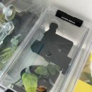 클린하우스 | 크레스티드 게코 초코 NEW 하우스! 조이클린 중형 투명 사육장 완벽 세팅 후기