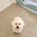 보리미용실 이미지