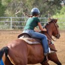 승마체험코스 이미지