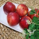 식송농장 이미지