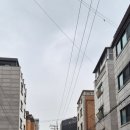 행복하개키울고양 | 성북구 애견카페 '행복하개키울고양'