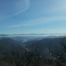 스마트폰으로 보는 세상 이미지