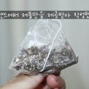 비인네이쳐