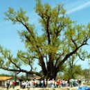 장덕2리 이미지