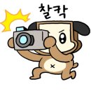 돈드림축산