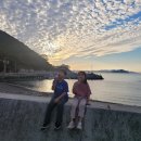 외양포해변 이미지