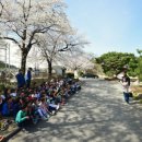 월산초등학교 이미지