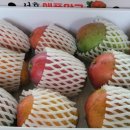 서홍농장 이미지