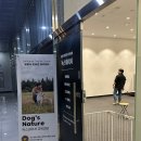 마곡역 5번 출구 뒤 이미지