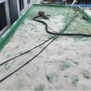 원미상가 이미지