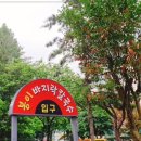 일산칼국수 이미지