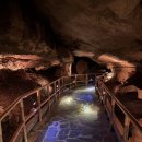 동해시-65 | 동해 / (천곡 황금박쥐 동굴) 후기