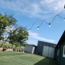 펫플러스라이프 이미지