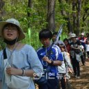 송해초등학교 이미지