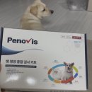 더케어벳 이미지