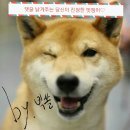 호식이두마리치킨나주 네이버블로그