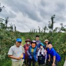 코끼리유통 이미지