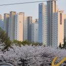 정스잉글리쉬학원