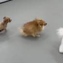 라이크몽 이미지