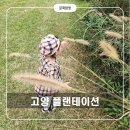 통일로 493번길 | 아기와 함께 가기 좋은 고양 플랜테이션