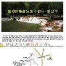 2015년 10월 6~11일 "구채구" 관광 추가 모객합니다. 이미지