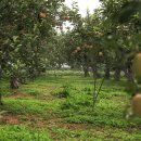 유포리낚시터 이미지