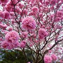 (주)씨케이