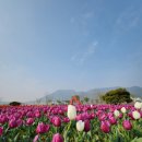 문창식갈비탕(하단점) 이미지