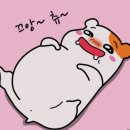 석계 장어 맛집 [ 장어구이 셀프타운 ]
