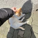 담해랑 이미지