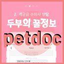 펫닥 | [펫닥어플사용후기-강아지어플] 우리 토리가 아플때 펫닥으로 궁금증 해결!!!