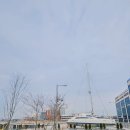 어린왕자 | 시흥 거북섬 어린왕자 산책 후기｜시화호 투명돔·마리나 겨울 풍경