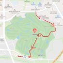 알바트로스골프장 | 화성 동탄 벚꽃명소 리베라CC 골프장 개화시기 방문후기 (26년 4월 2일기준)