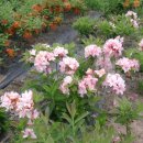 부리농장 이미지