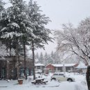 정선 자연속으로 펜션 이미지