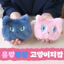 올망똘망스튜디오 이미지