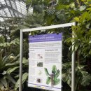 [미국탐방기]마타아이 보태니컬 가든 Matthaei Botanical Gardensㅣ미시간 앤아버 가볼만한 곳 추천...
