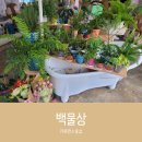 백물상