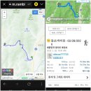 소요산명품 노래연습장 | 포천 지장산 풍경좋고 노란 복수초에 홀릭되어 봄꽃 마중을 가다,!!