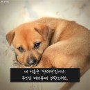 진보동물병원 이미지