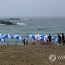 경포12호