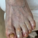 레푸스마곡 이미지