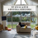 보문회관 | 경주 감성 숙소 독채 자쿠지펜션 늘경주휴 아이와 힐링 가득