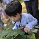 🩷따뜻한 마음이 자라는 글로벌3반🩷 ＜밤톨이유아숲체험원-숲속의 스파이더맨🕸️🕷️＞ 이미지