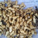 용석농장 이미지